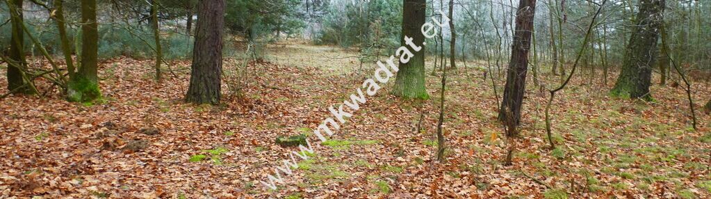 Działka leśna z prawem zabudowy