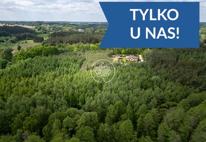 Dom w środku własnego lasu mogilno bydgoszcz