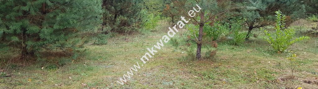 Urokliwe miejsce w kaniach