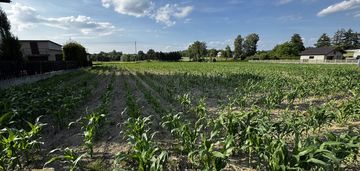 Działka inwestycyjna 5988 m² gorzyce | idealna dla