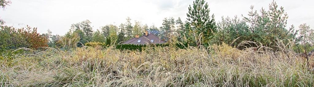 ***idealna na dom za miastem - grabówka ***