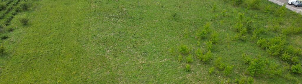 Działka budowlana siemianice-niewierowo