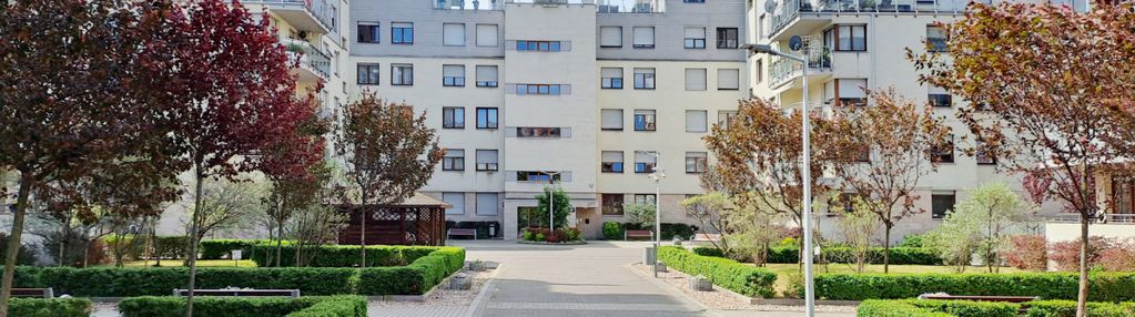 Ul. przyjaźni osobna kuchnia - 2 balkony