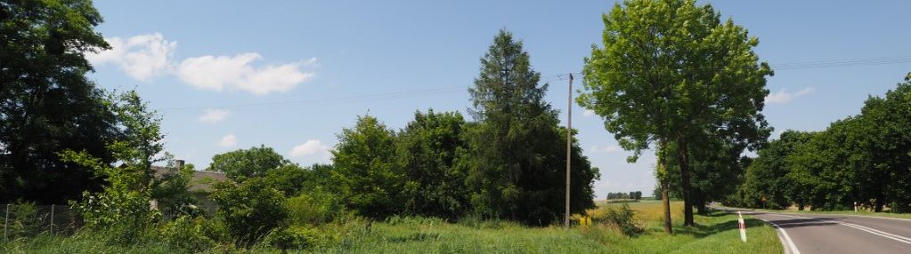 Działka siedliskowa 5843 m2 ochoża-pniaki