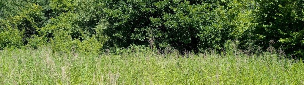 Wróblowice 8a działka budowlana.