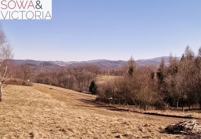 Panorama góry sowie