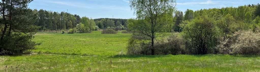 Perełka