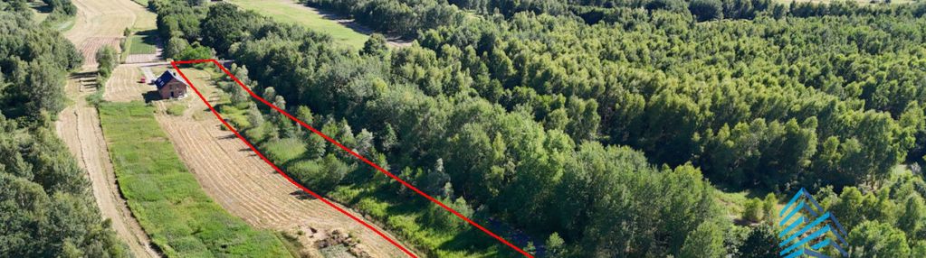 Dwie działki, jodłówka