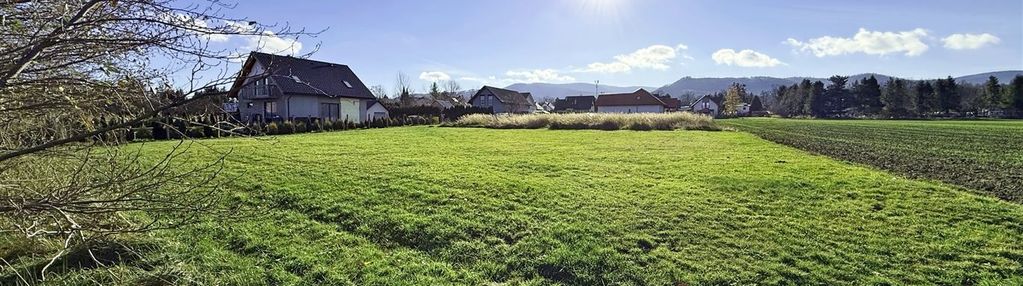 Natura i spokój tuż obok miasta - działka jaworze