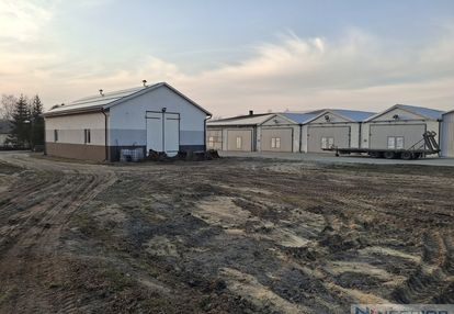 Kompleks budynków gospodarczych po pieczarkarni