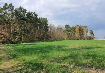 Działka na sprzedaż 3000m2