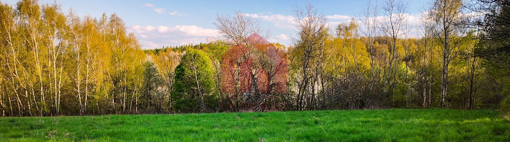 3,33 ha z lasem i strumykiem - teren pod zabudowę