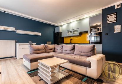 Piltza | dębniki | 2pok | 50m | eng