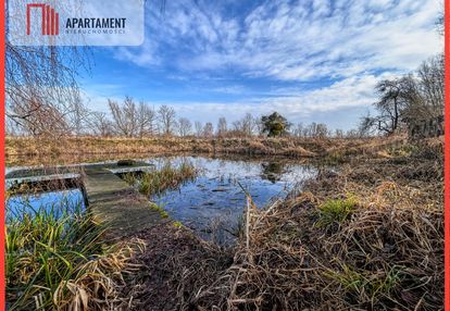 Działka 1,5 ha ze stawem w parku krajobrazowym