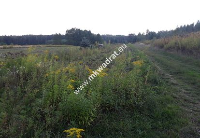 Atrakcyjna lokalizacja, ładna działka pęcice.