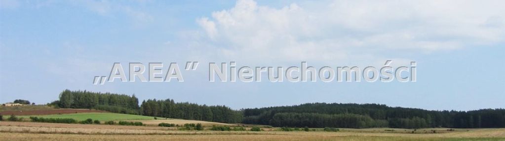 Działka leśna, wierzchlesie, 7501m2,
