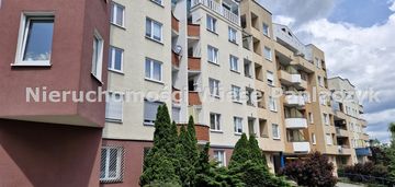 Wilda, 2 pokoje, kuchnia, wynajem