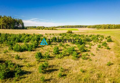 Działka o powierzchni 5,30 ha w gminie kościerzyna