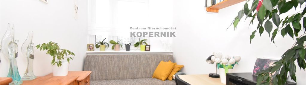 Bolta -poszukiwana lokalizacja i super rozkład