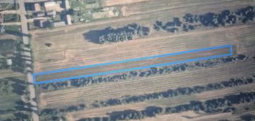 Działka rolna 5800 m2 -dąbrowa, gm mrozy