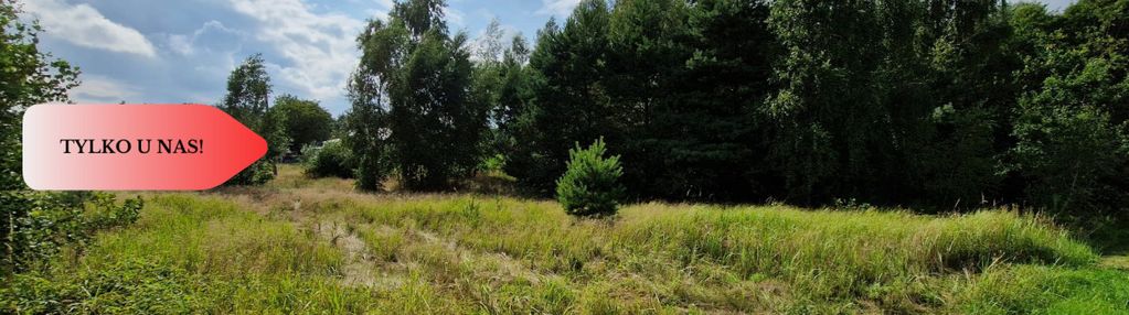 Działka górne morgi