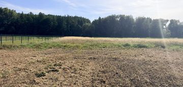 Trąbki gmina biskupice działka o powierzchni 19 a