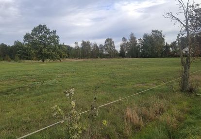 Piękna działka w okazionalnej cenie
