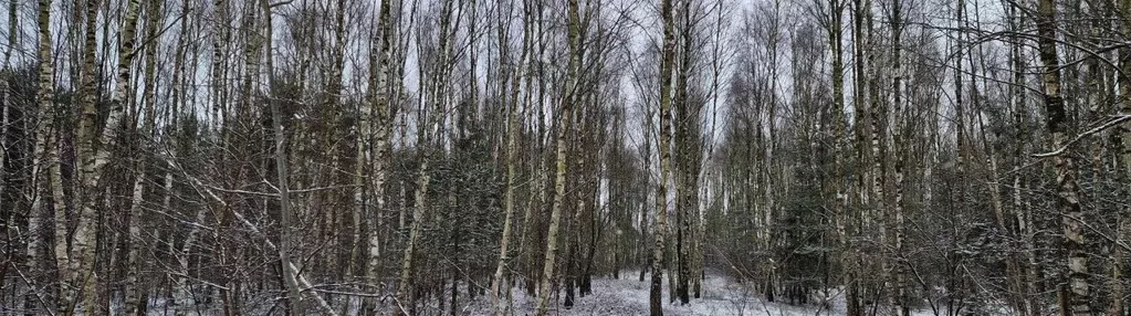 Działka na sprzedaż 4200m2