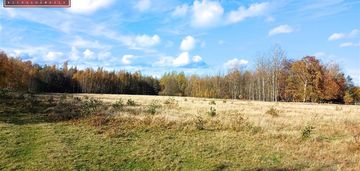 Działka rolna ze stawem izery