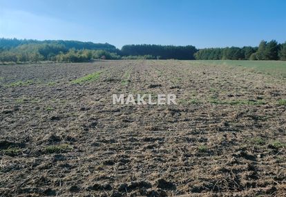 Działka  w myślęcinku 2,6 ha z lasem.
