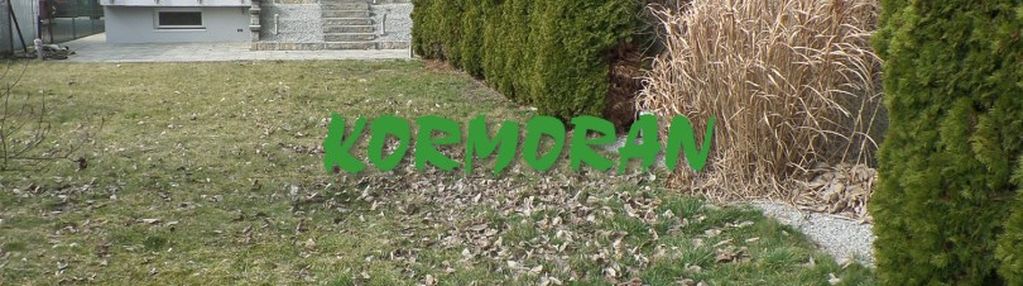 Mieszkanie z ogrodem ( ok. pół domu )