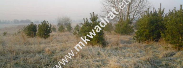 Teren pod inwestycje w gm.teresin