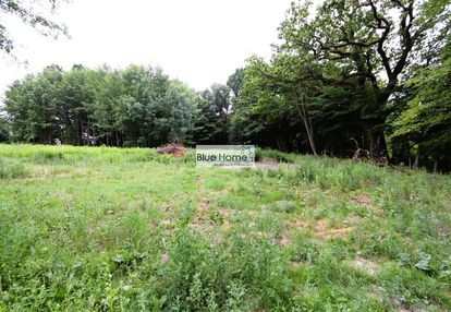 Działka budowlana z zabytkowymi dębami 3101m2