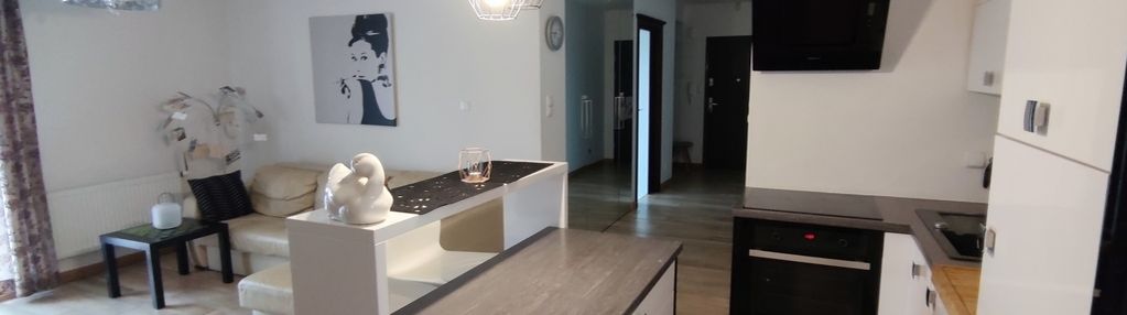 Apartament dla inwestora w śródmieściu