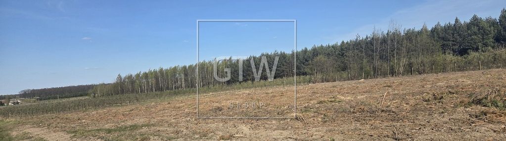 Działka inwestycyjna 2,41 ha | gmina pniewy