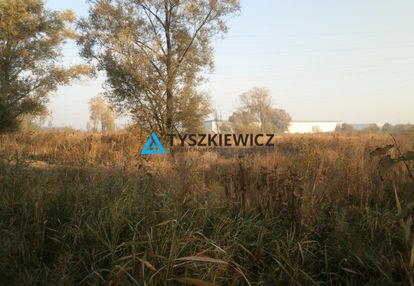 Duża działka rolna na rudnikach