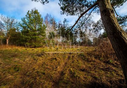 Działka usługowa  z dogodnym dojazdem do obwodnic
