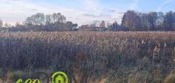 Grunt rolny ponad 6 ha do sprzedania....