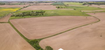 Działka w cedyni 5,36ha z warunkami zabudowy
