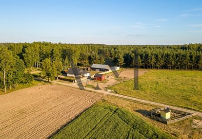 Siedlisko/gospodarstwo/ranczo pod lasem z domem