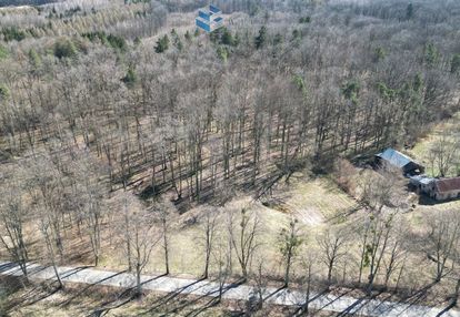 Zielony zakątek w jędrychówku