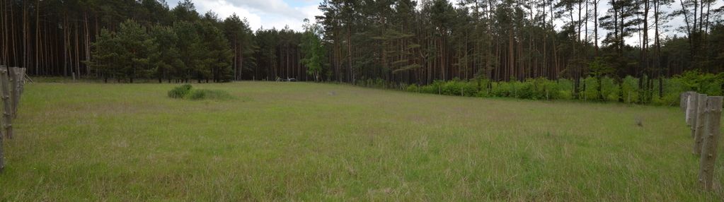 Działka budowlana przy samym lesie