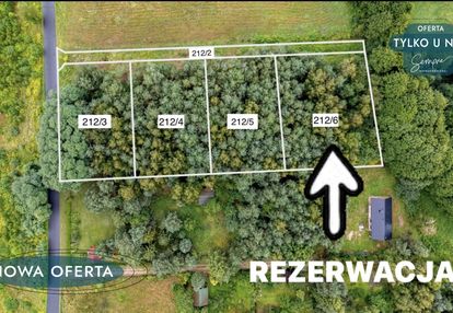 Działki budowlane  z własnym lasem