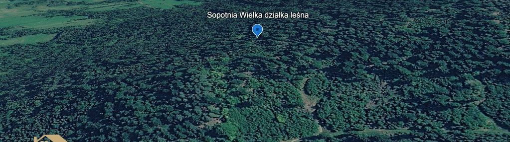 Działka leśna 807 m² na sprzedaż – sopotnia wielka