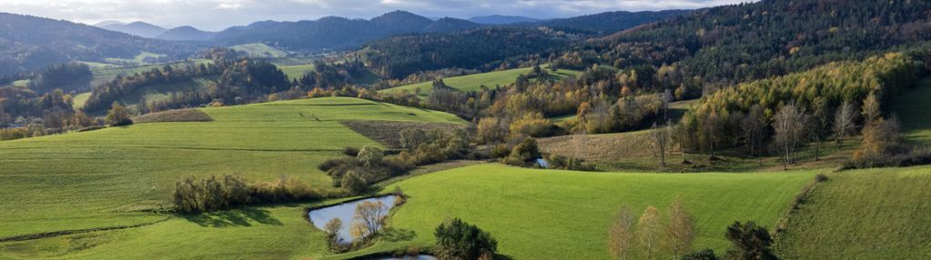 Piękno natury | twój zakątek ciszy i spokoju |