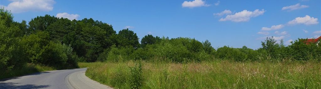 Działka budowlana 42a | libertów