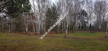 Działka na granicy lasu