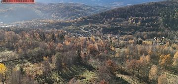 Rola z cudownym widokiem na całe pasmo karkonoszy