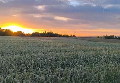 Wydzierżawie ziemię rolną