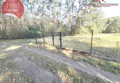 Działka w środku lasu